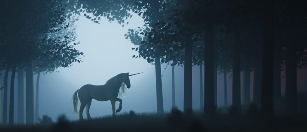Unicorns of the Security Industry